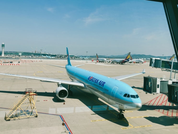  일시귀국기 일본 ↔︎ 한국