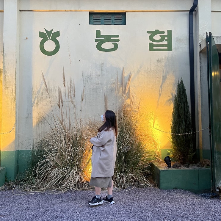  거제 짹짹커피 고현동 카페 커피 맛있네