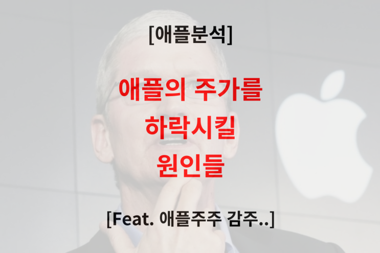 애플 주가의 하락을 이끌 원인 분석 (Feat. 애플주주가..)