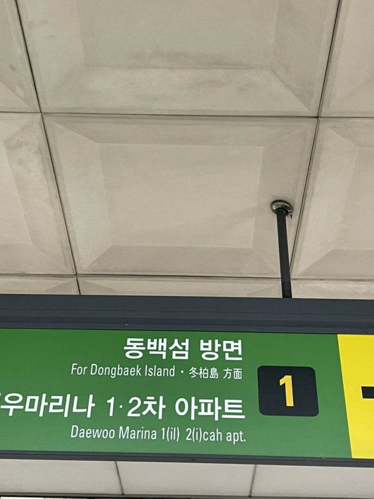  [부산여행] 뚜벅이 2박3일 힐링여행 2일차 해운대 모래축제 맛보기