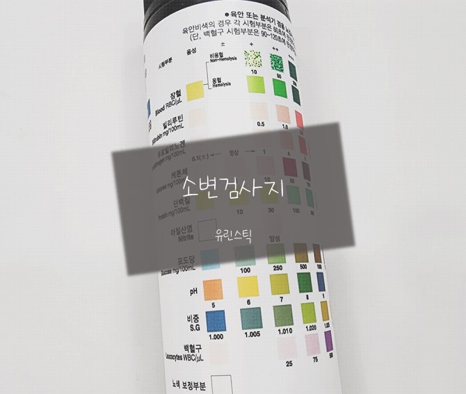 소변검사지, 소변검사스틱 사용 후기