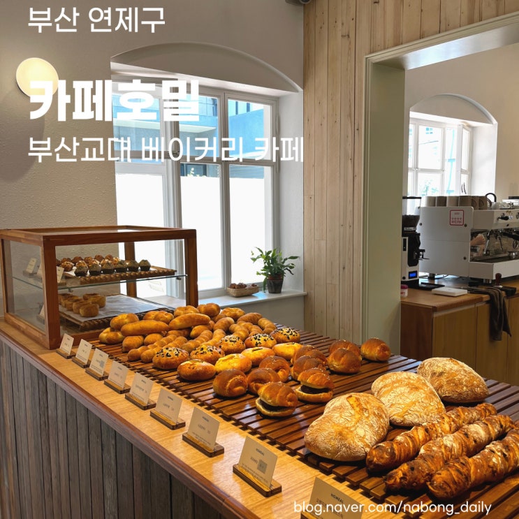  부산교대 카페 | 소금빵이 맛있는 연산동 빵집 카페호밀 | 부산 빵지순례