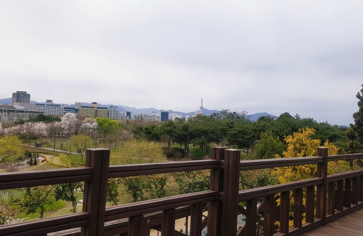  1. 대전 투어 Ver.1 (2019.4.6)