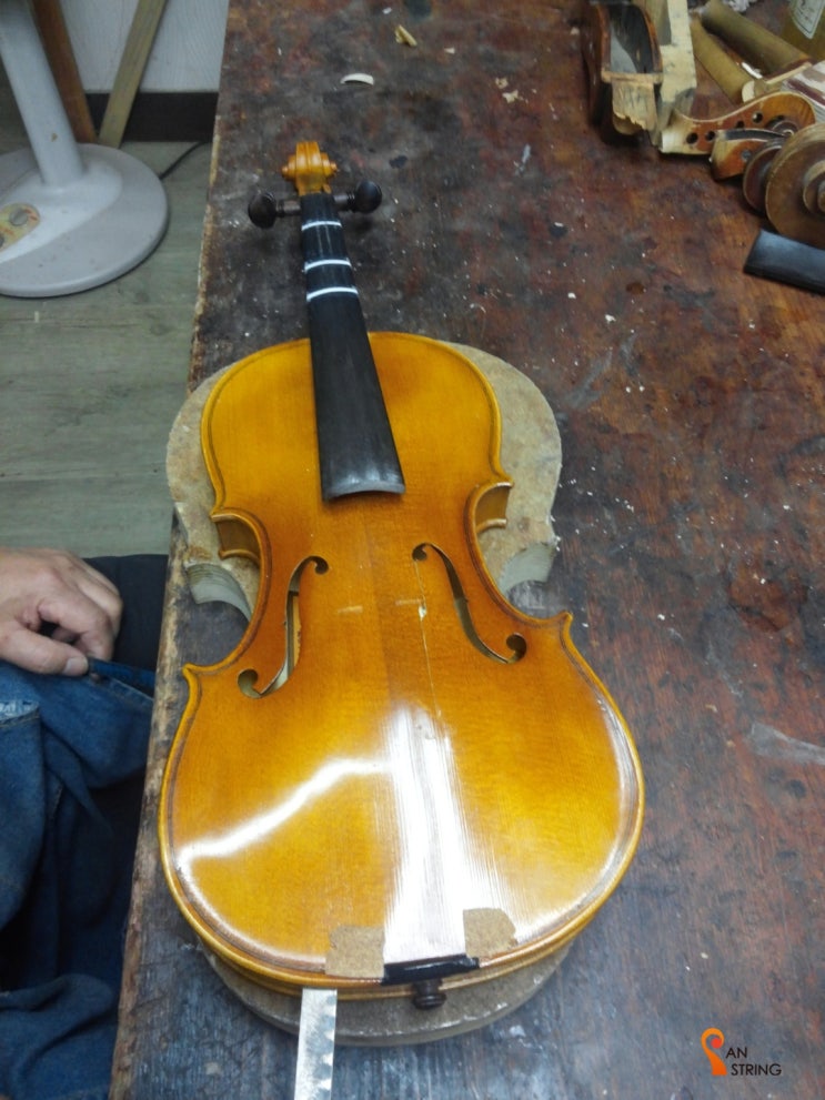 바이올린 앞판 크랙 수리