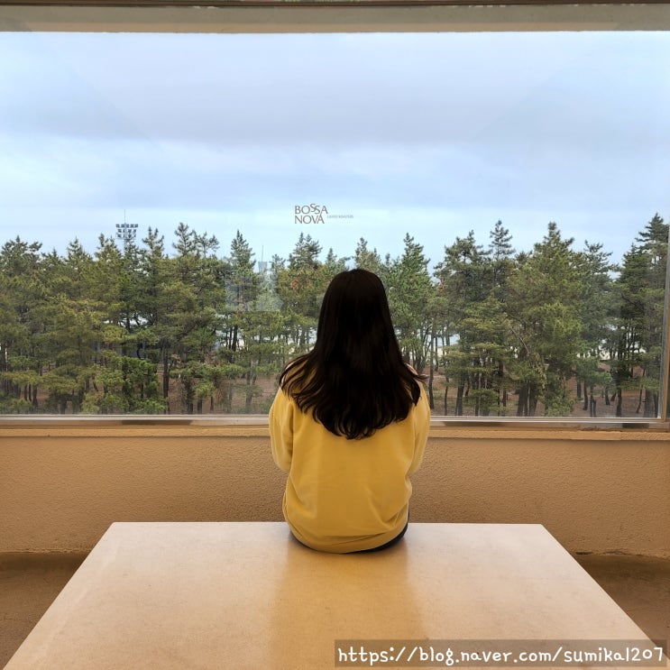 속초 보사노바 카페, 오션뷰와 대관람차를 한눈에! 속초 보사노바 카페, 오션뷰와 대관람차를 한눈에!