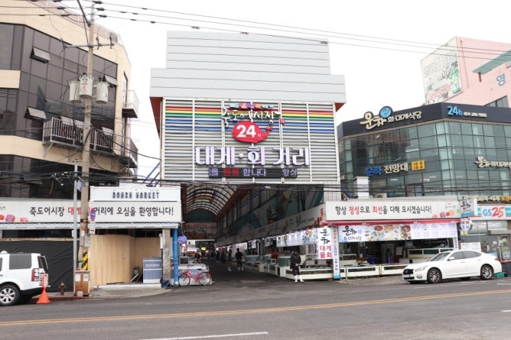  원픽이었던 포항 죽도시장 맛집