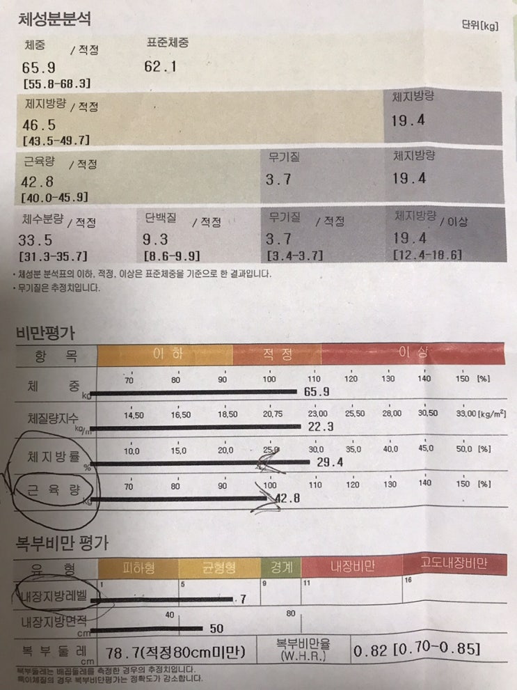  요가 한달차 후기 + 인바디 비교