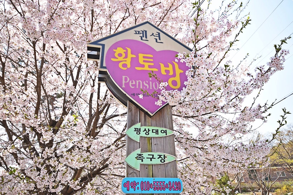 용현계곡황토방펜션 사진 1