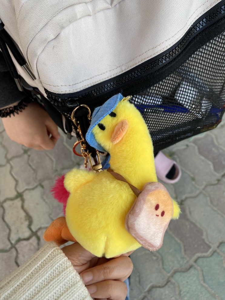  의지부족 아갈다이어트