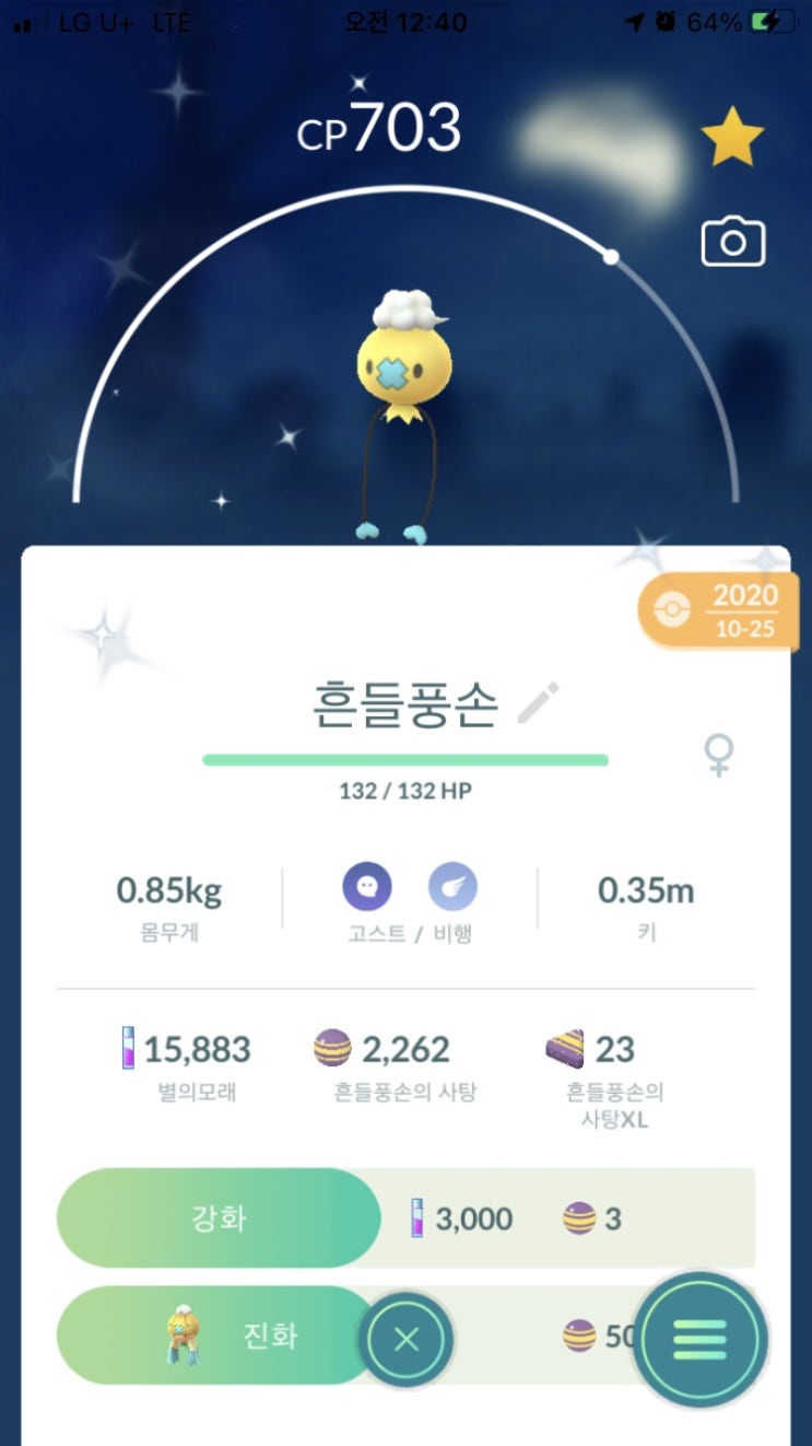  흔들풍손 이로치