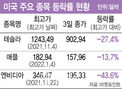 수렁에 빠진 서학개미…'천슬라' 수익률 보니 수렁에 빠진 서학개미…'천슬라' 수익률 보니