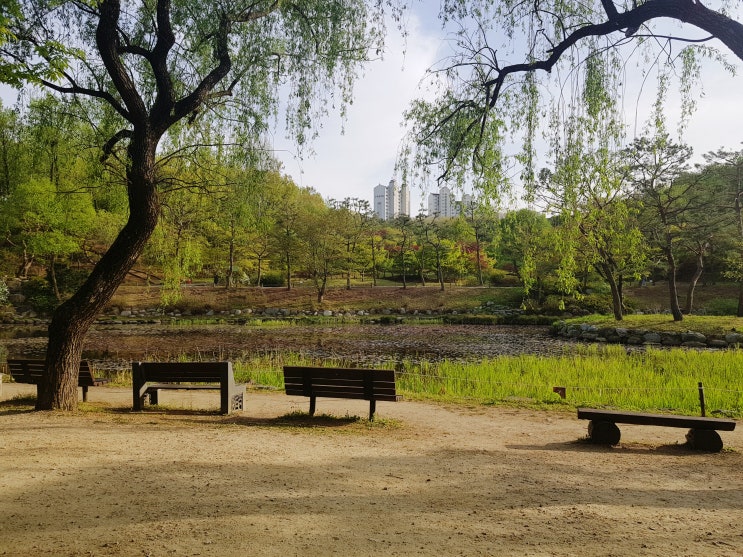  오산 가볼만한 곳, 물향기 수목원에서 느끼는 봄의 정취!