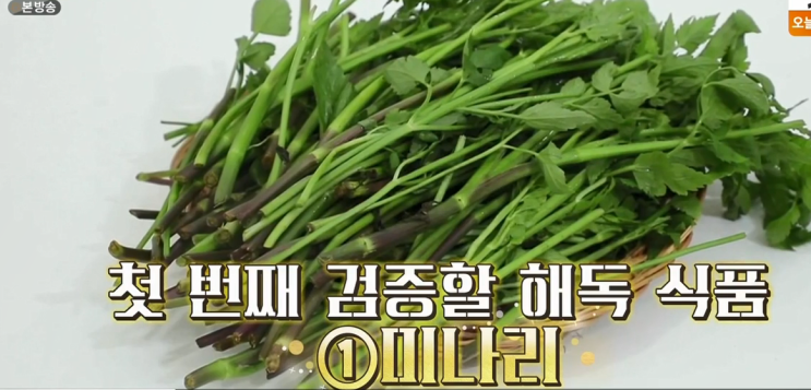  미나리해독 도움될까