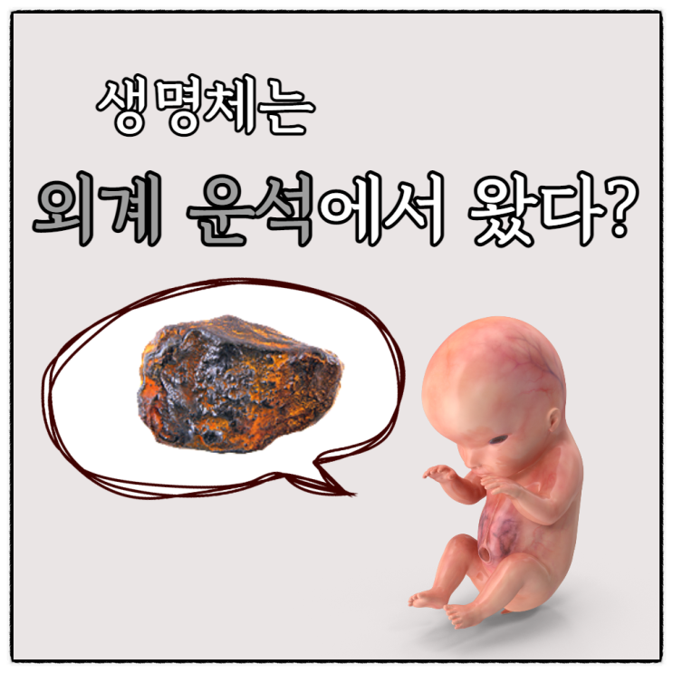  생명체 외계 행성 기원설? 암석에서 몸 주요 구성 성분인 이중나선구조의 핵산 속 염기 검출