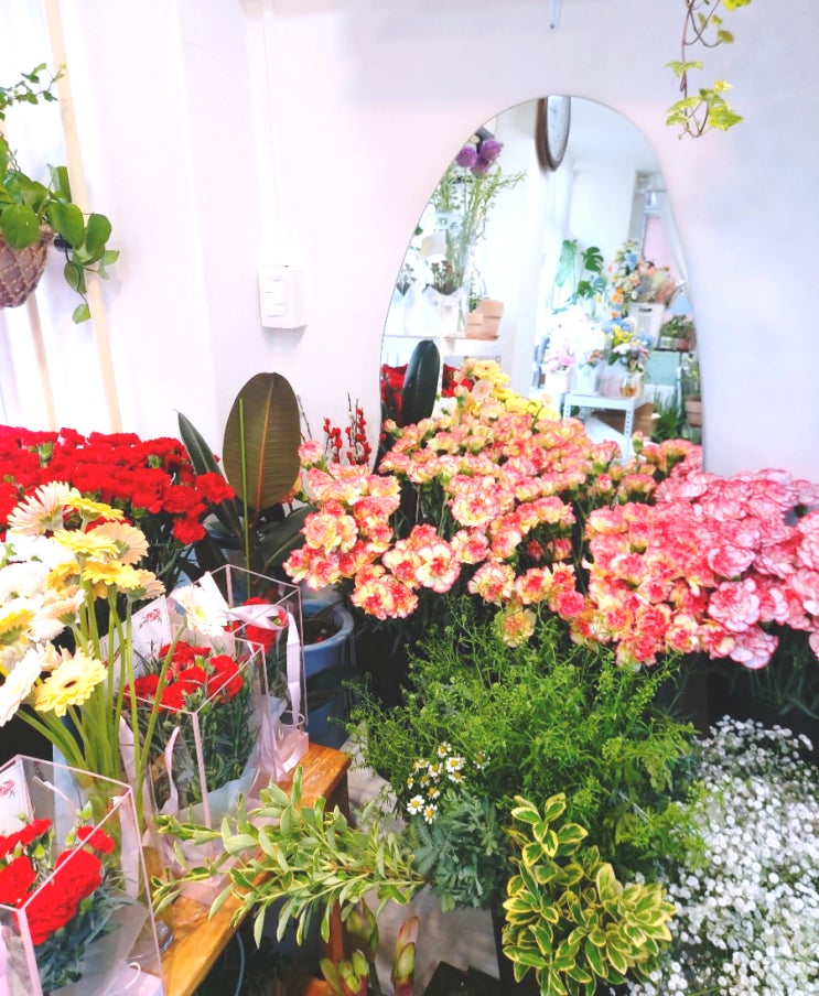 광사 인스타 감성 꽃집 화시 카네이션 가격 광명사거리역 추천