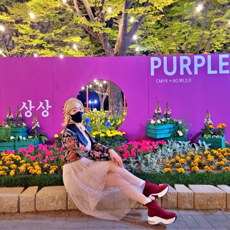  일산호수공원 꽃축제 튤립 야경까지