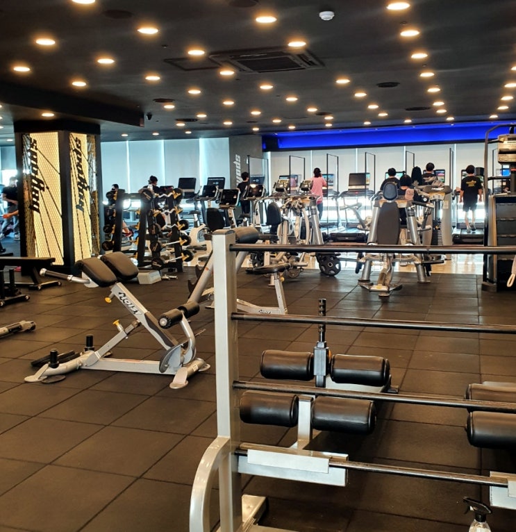  스포애니 우장산역 헬스장 우장산 PT 알찼던 후기