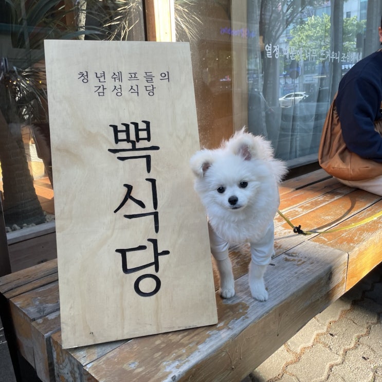  안산 뽁식당, 애견동반 되는 파스타 맛집 ! 솔직후기
