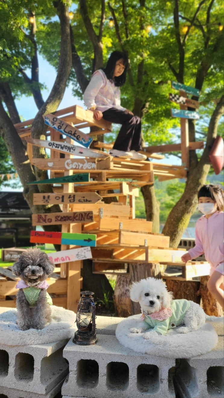  옥정호근처 애견동반 카페 ㅡ 카페 , 옥쭹가든