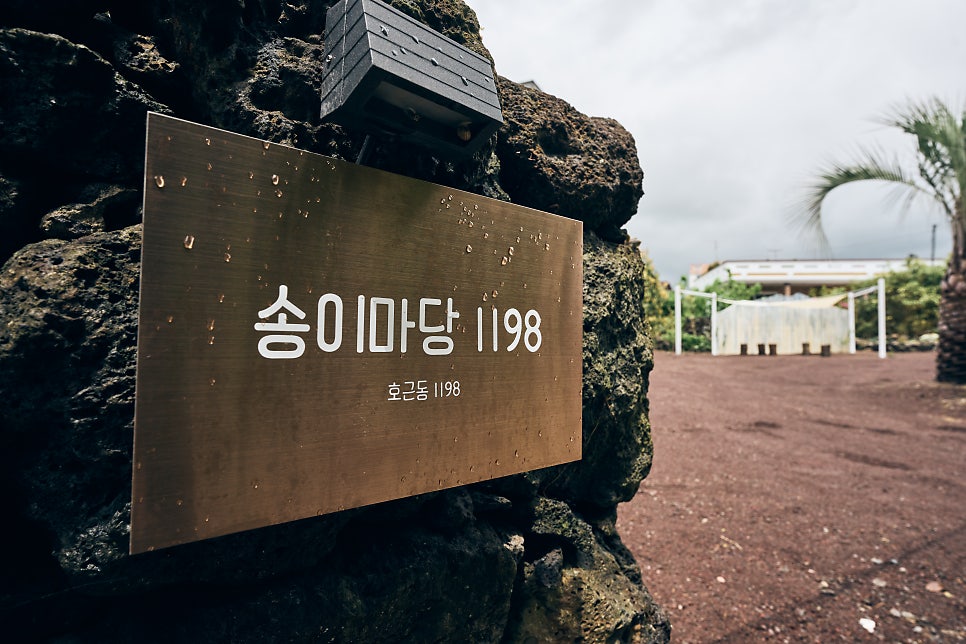 송이마당1198 사진 6