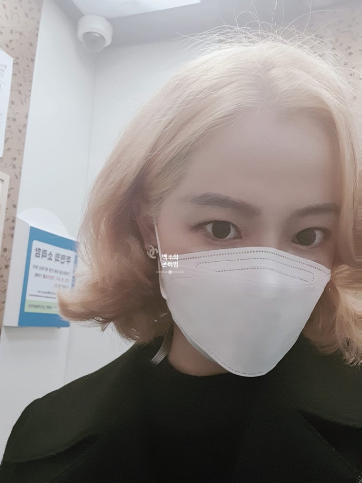  [취미] 셀프 탈색과 염색 후기 및 변천사