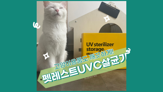  고양이 용품 펫레스트 UVC 살균기로 바이러스 걱정 없이! (위트 코리아 이벤트 당첨 후기)