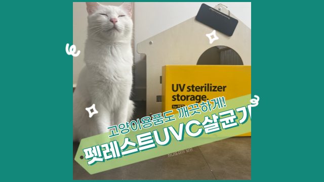 고양이 용품 펫레스트 UVC 살균기로 바이러스 걱정 없이! (위트 코리아 이벤트 당첨 후기)