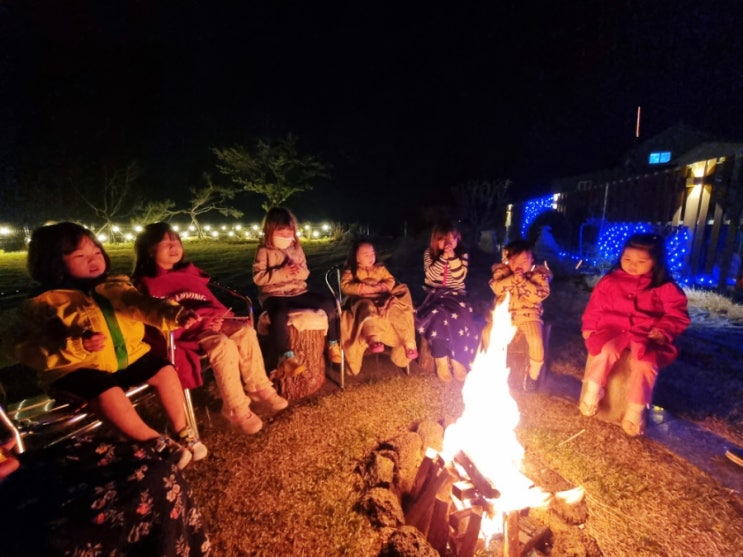  내돈내산 강화도 트리피아 더에코_불멍에 바베큐에 노래방까지..24시간이 모자라