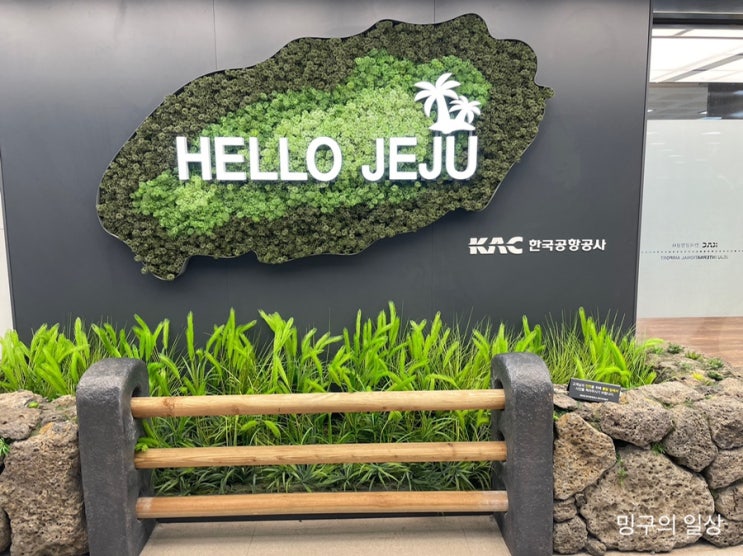  [여행] 제주 2박 3일 뚜벅이 여행기① (비상구 자리, 숙소, 맛집 등)