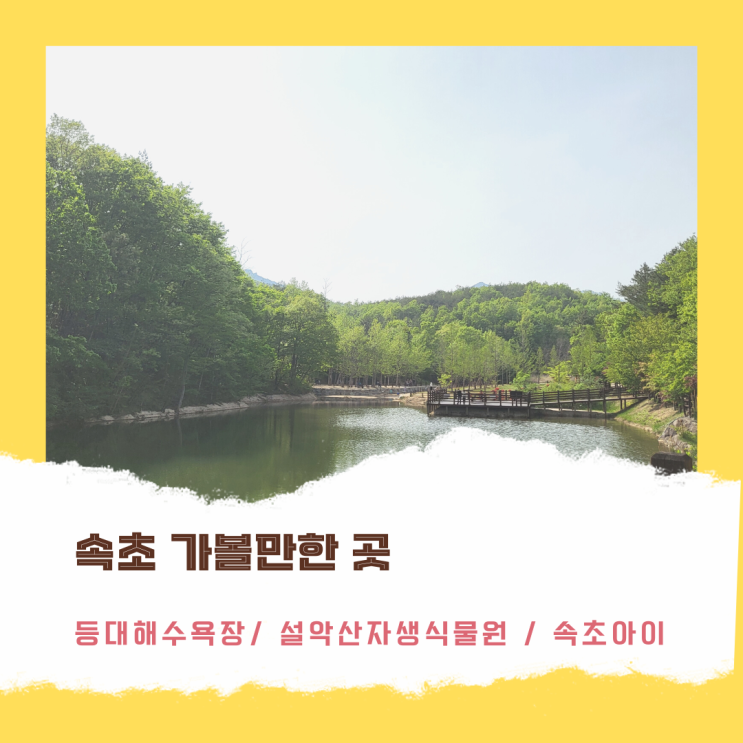  [속초 가볼만한 곳]등대해수욕장, 설악산자생식물원, 속초아이