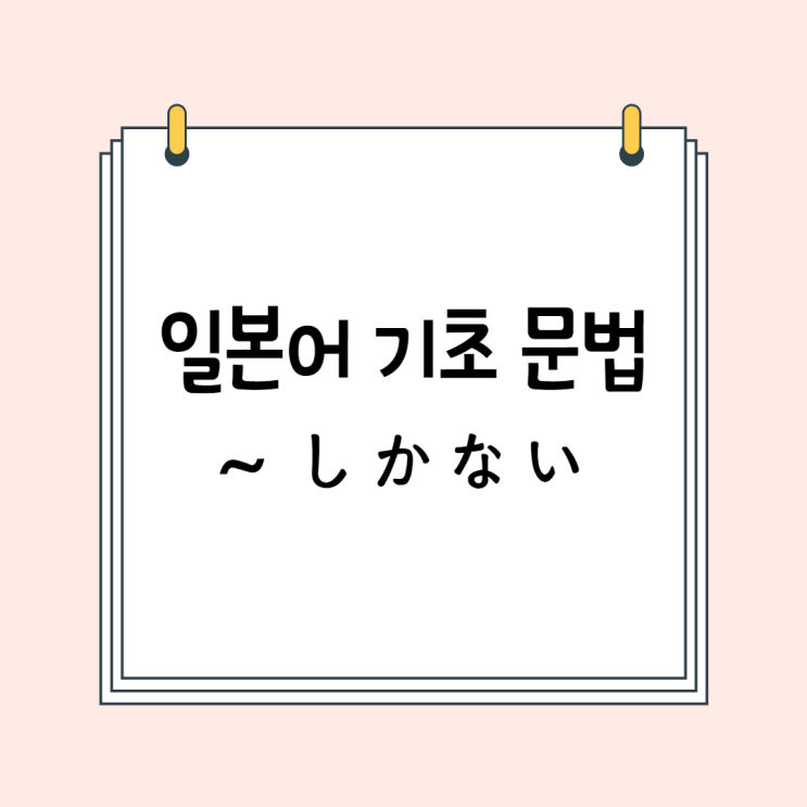  일본어 기초 문법 (N5문법/N4문법): ~しかない / ~ほかない