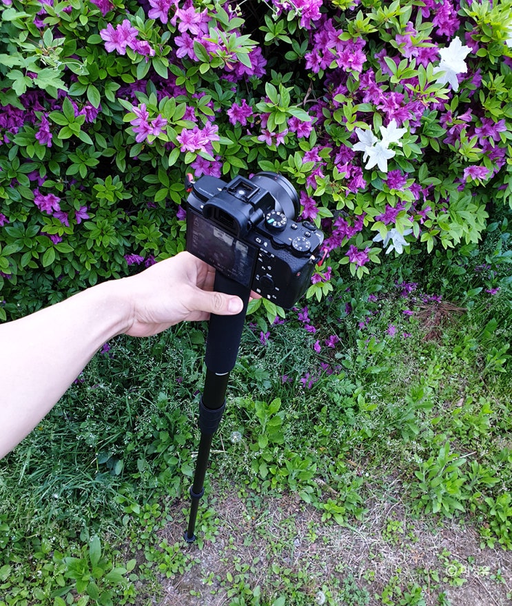  카메라모노포드 등산스틱 겸용 미포토  A35W 모노포드 블랙