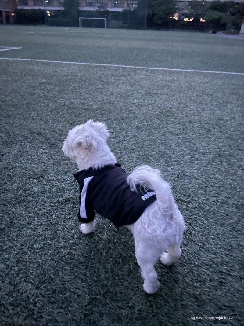 사진 2