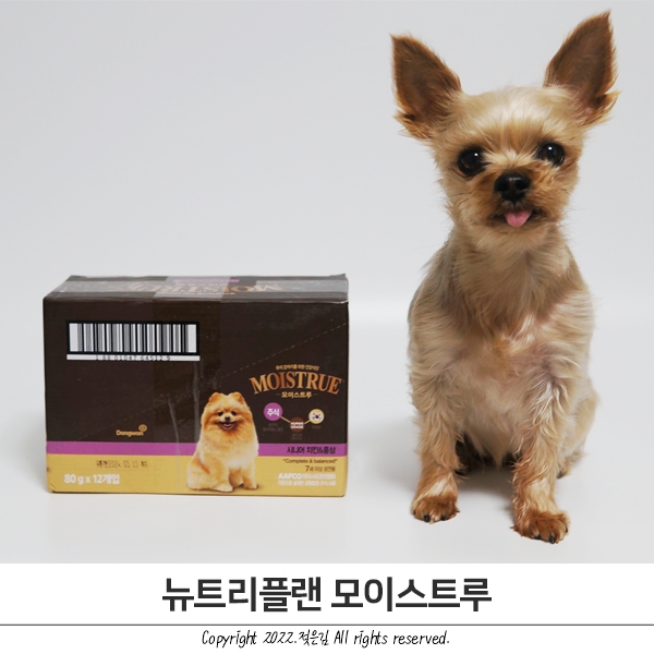 강아지사료추천 뉴트리플랜 주식사료 기호성 대박 노령견 습식사료 강아지사료추천 뉴트리플랜 주식사료 기호성 대박 노령견 습식사료