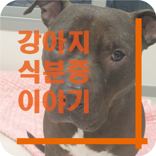  강아지 식분증 원인과 해결방법~