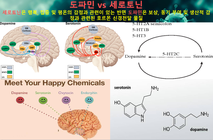 옥시토신 도파민 세로토닌 엔도르핀 등 행복 호르몬이 신체 및 인간 감정에 끼치는 영향에 대해 알아봅니다. (Ft. 행복 호르몬을 높이는 9가지 방법, 호르몬과 인간의 감정 변화)