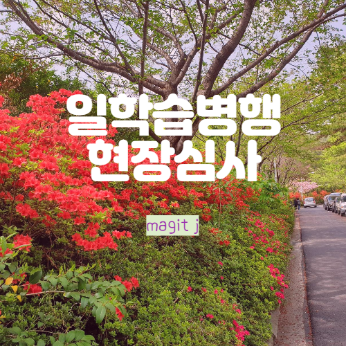  일학습병행 현장심사는 거가대교를 타고_삼성중공업 협력사 3곳