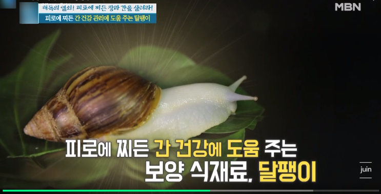잠을 자도 피곤했던 과거를 잊게 해줬던 와우효소분해추출분말