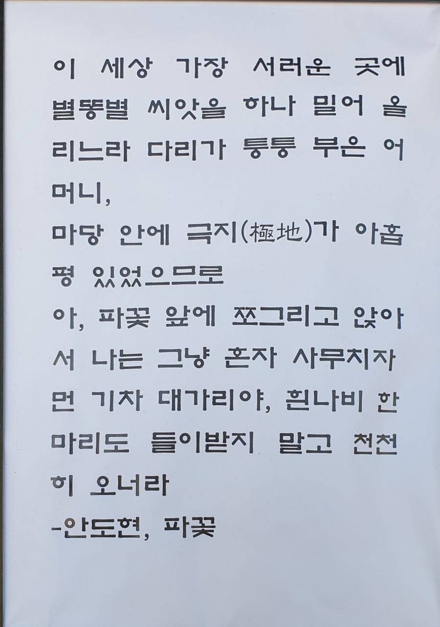 파리몽 사진 4