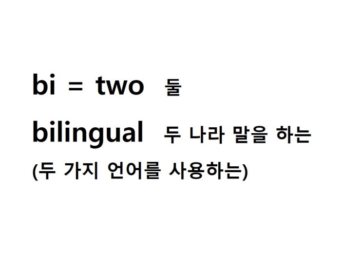  접두사 bi = two 둘 (bilingual 두 가지 언어를 사용하는 = 두 나라 말을 하는)