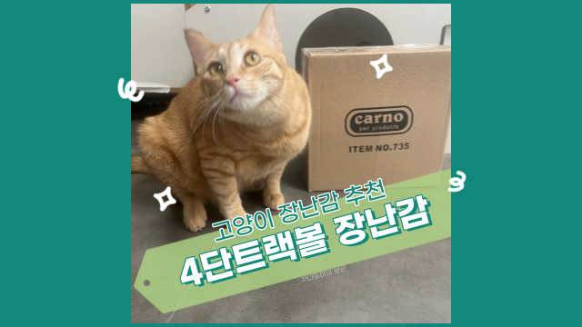  고양이 장난감, 냥이월드 4단 트랙볼+생쥐 장난감 세트로 놀아보아요.