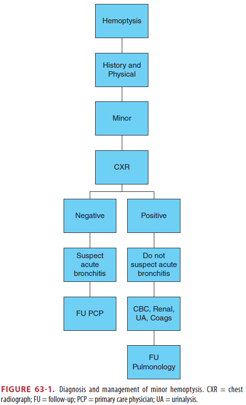 객혈 (Hemoptysis) 정의, 원인, 진단, 치료.