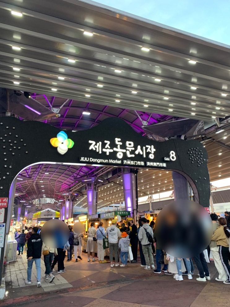  [제주도 시장 여행] 제주동문시장 vs 서귀포올래시장 비교 탐방기! (주차, 먹거리, 기념품 등)