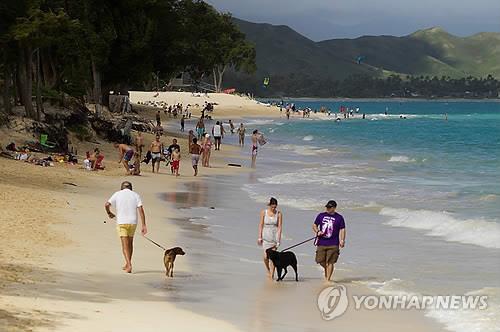 '골든위크'에 해외 찾은 日 관광객, 역대급 엔저에 '물가 쇼크' '골든위크'에 해외 찾은 日 관광객, 역대급 엔저에 '물가 쇼크'