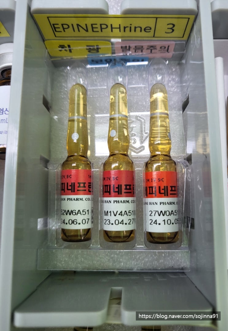  에피네프린(epinephrine) 주사는 언제 사용하고, 사용 용량 / 부작용은 무엇이 있을까?