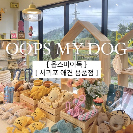  {서귀포/스토어} 웁스마이독 :: "유니크한 애견 용품/리빙 브랜드 오픈"