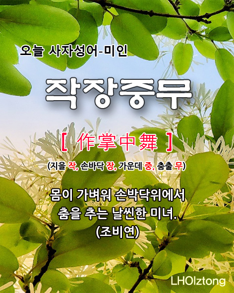  [856] 오늘 사자성어 작장중무(作掌中舞)의 뜻은?