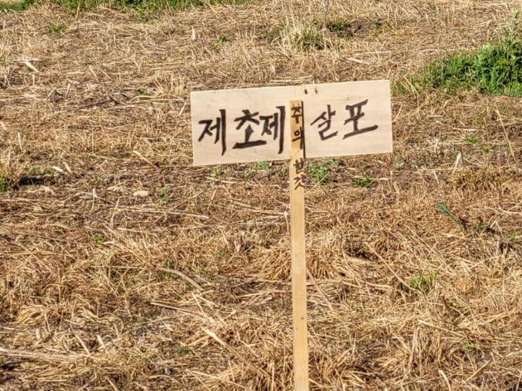  잡초를 없애야할까?(제초제의 위험,잡초뽑으면 안되는 이유)