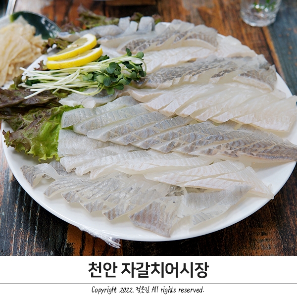 천안 횟집 단체회식 하기 좋은 자갈치 어시장 천안 횟집 단체회식 하기 좋은 자갈치 어시장