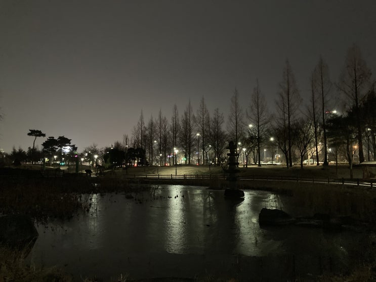  대전 산책로 가 잘 꾸며진 유림공원 에 다녀왔어요